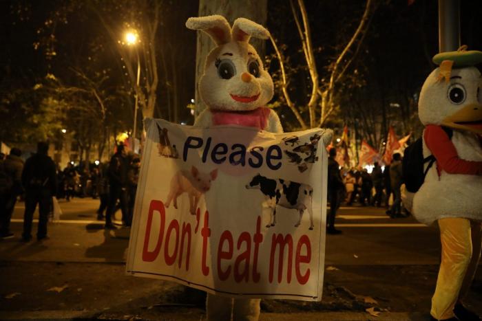 María Neira: “Al margen de todo el debate político, la crisis climática es una cuestión de salud”