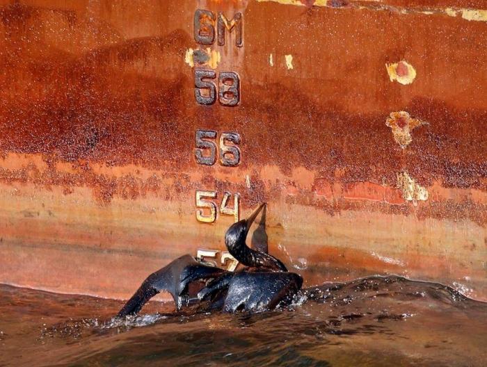 Vertido en el Golfo de México: 11 fotos para recordar la tragedia por la que BP acepta una multa récord