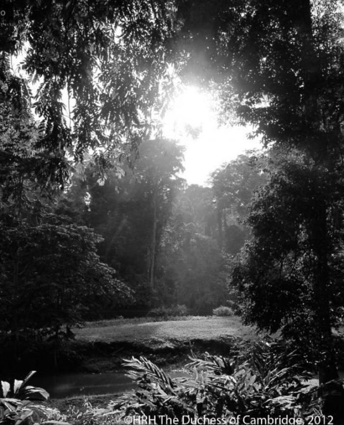 Kate Middleton, fotógrafa: las imágenes que la duquesa de Cambridge tomó en su viaje en Asia (FOTOS)