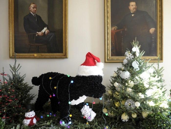 Decoración navideña: árboles de colores y luces en la Casa Blanca (FOTOS)