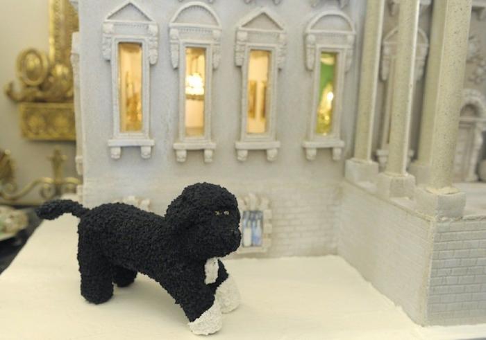 Decoración navideña: árboles de colores y luces en la Casa Blanca (FOTOS)