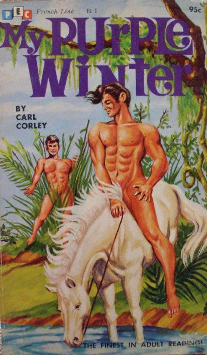 Las 14 portadas de libros mas sexis según Flavorwire (FOTOS)
