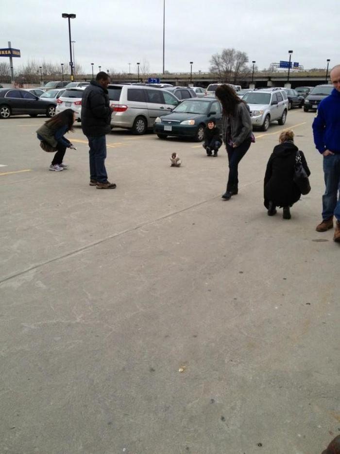 El mono que fue a Ikea con un abrigo: el desconcertante #ikeamonkey que triunfa en las redes sociales (FOTOS)