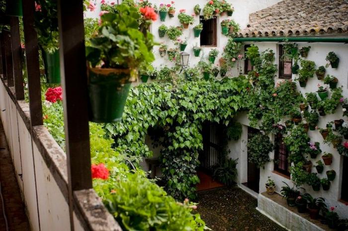 La humanidad en los patios cordobeses