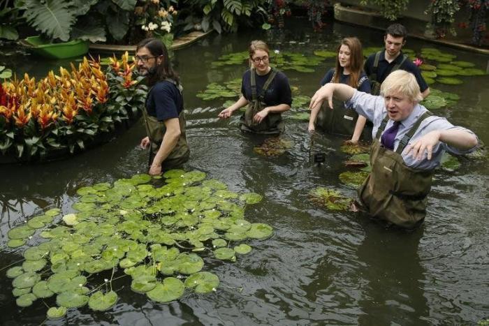 Johnson contra las cuerdas: qué pasa si dimite el primer ministro