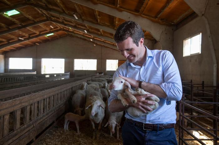 Cuando Pablo Casado rechazaba "el transfuguismo"