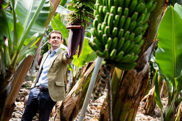 Cuando Pablo Casado rechazaba "el transfuguismo"
