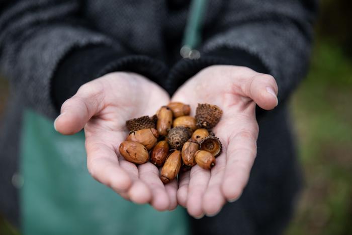 'The Guardian' llama "ignorante" a Pedro Sánchez por este error durante un acto
