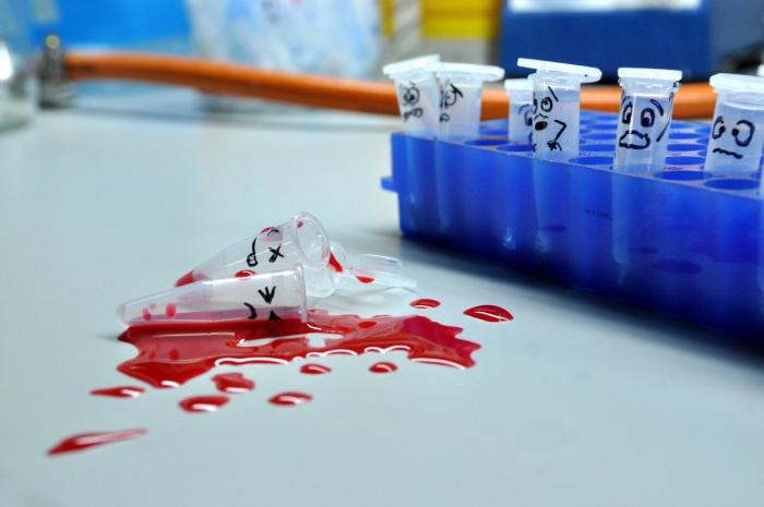 Fotografías de ciencia: la imágenes de la investigación del Cáncer del CNIO (FOTOS)