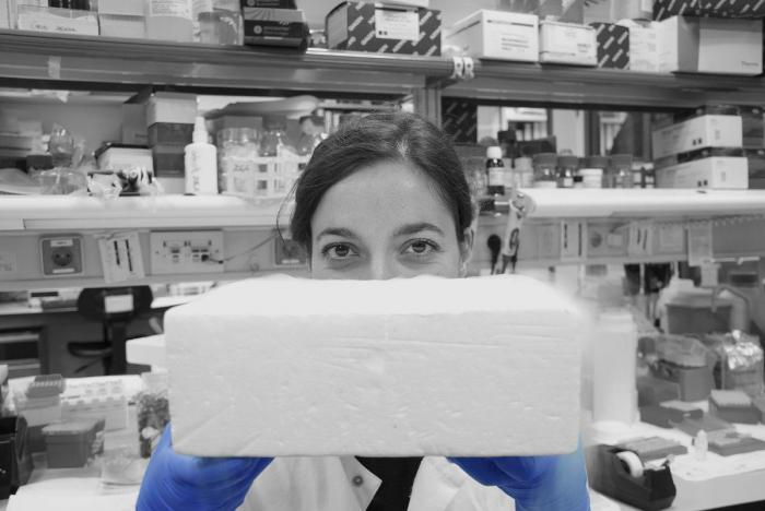 Fotografías de ciencia: la imágenes de la investigación del Cáncer del CNIO (FOTOS)