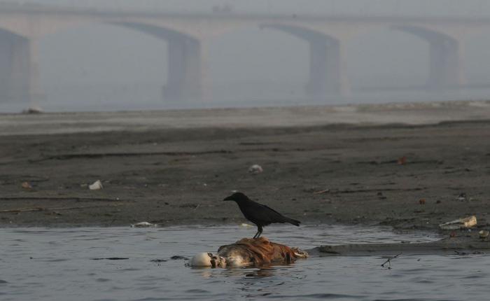 2012 según Instagram: las imágenes que documentan el año (FOTOS)