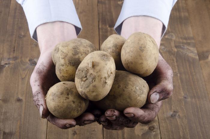 El producto de Mercadona cuyas ventas han crecido un 60% durante el confinamiento
