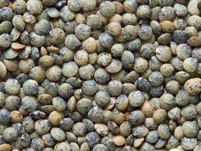 El producto de Mercadona cuyas ventas han crecido un 60% durante el confinamiento