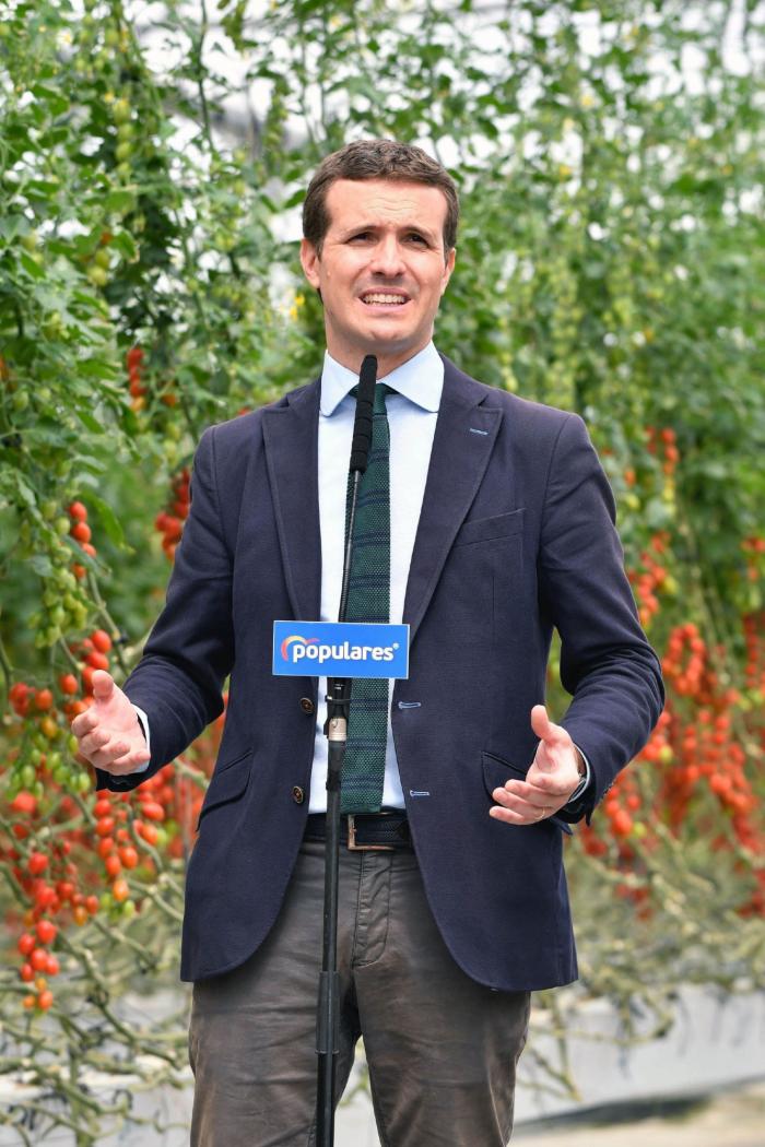 El PP dice que el Gobierno quiere que la luz esté cara para que la gente consuma menos