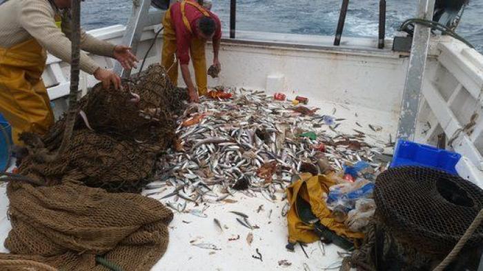 Indignación con Carrefour por vender así uno de sus productos