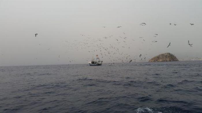 Indignación con Carrefour por vender así uno de sus productos