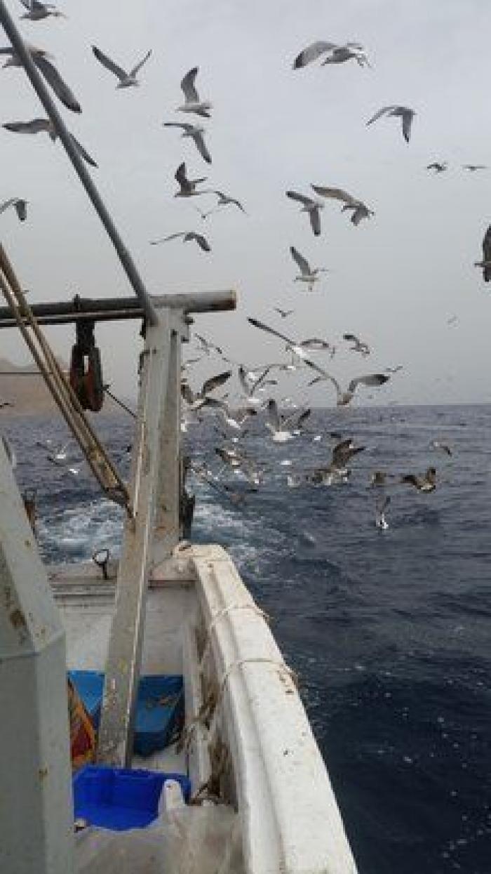 Indignación con Carrefour por vender así uno de sus productos