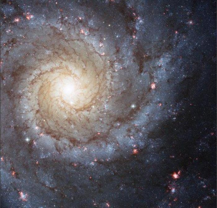 La ESA lanza con éxito el telescopio GAIA para cartografiar la Vía Láctea