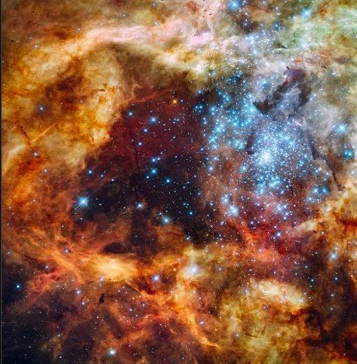 La ESA lanza con éxito el telescopio GAIA para cartografiar la Vía Láctea