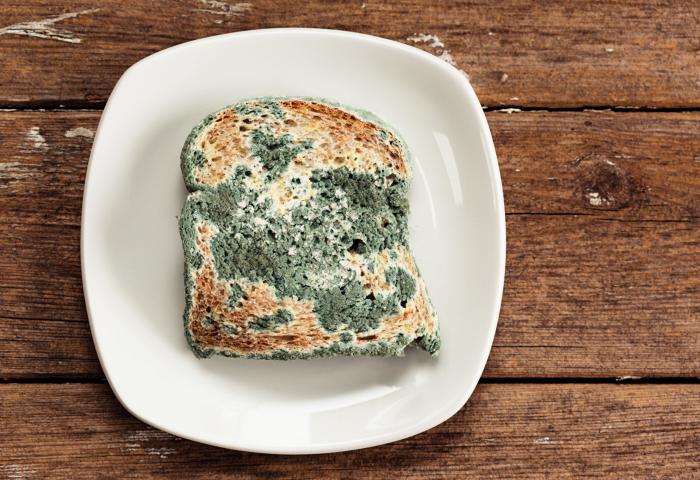 Los problemas de salud que el confinamiento y la desescalada pueden provocar en tu perro