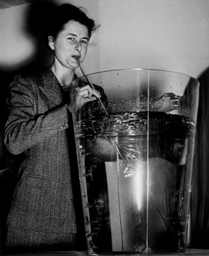 Guía práctica para sobrevivir al 1 de enero