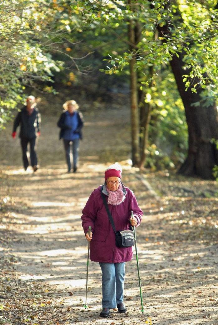 Guía práctica para sobrevivir al 1 de enero