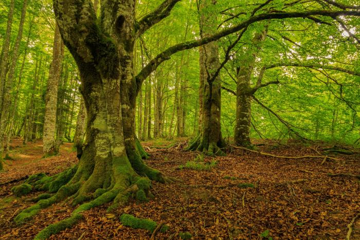 El 'Financial Times' elige a una ciudad de España entre sus descubrimientos de viajes del año