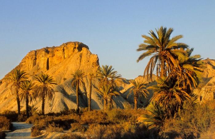 El 'Financial Times' elige a una ciudad de España entre sus descubrimientos de viajes del año