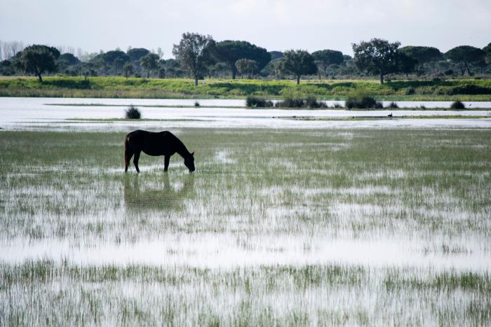 El 'Financial Times' elige a una ciudad de España entre sus descubrimientos de viajes del año
