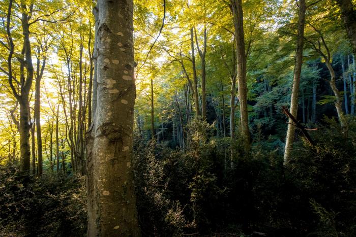 El 'Financial Times' elige a una ciudad de España entre sus descubrimientos de viajes del año