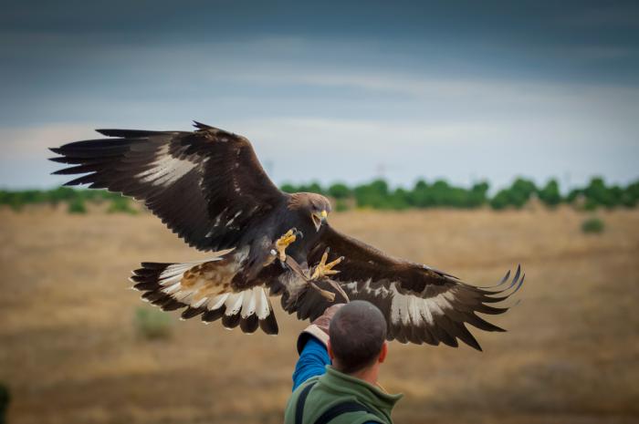 Las claves del Bono Cultural que ha aprobado el gobierno para los jóvenes