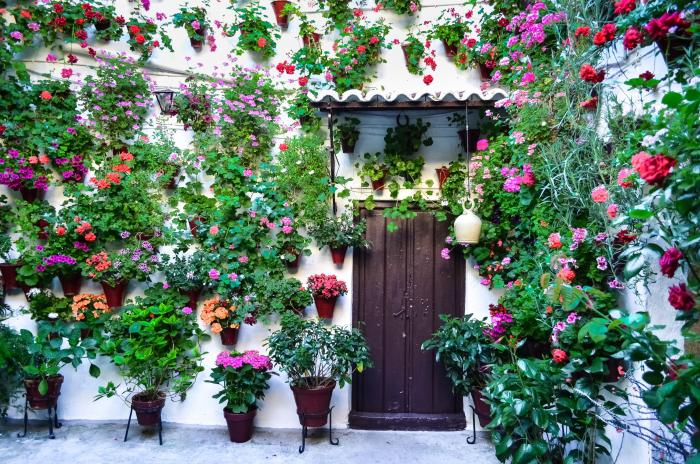 Las claves del Bono Cultural que ha aprobado el gobierno para los jóvenes