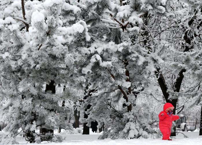 Tokio, París y otras ciudades convertidas en postales de nieve (FOTOS)