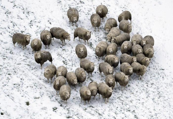 Tokio, París y otras ciudades convertidas en postales de nieve (FOTOS)