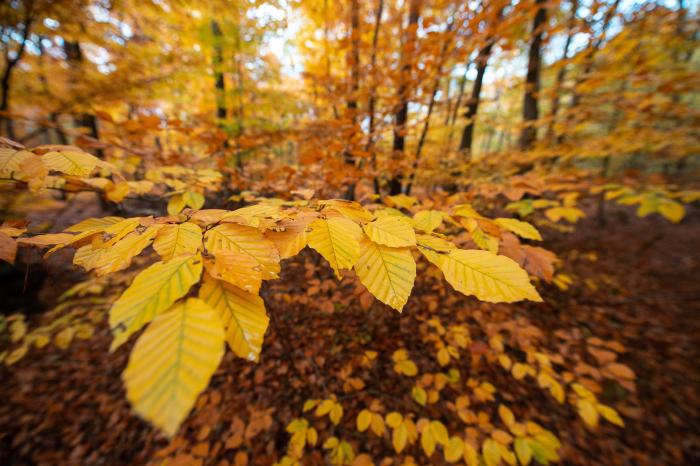 Las siete mejores actividades turísticas para hacer este verano