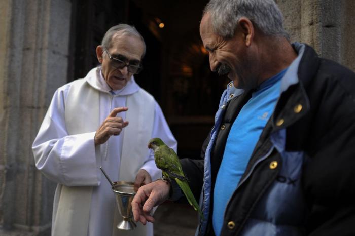 Bendición de animales por San Antón: camaleones, cabras, perros, hurones y gatos en la iglesia (FOTOS)
