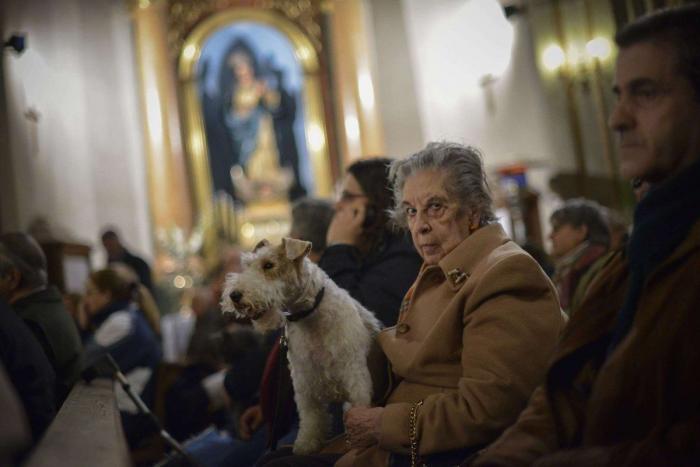 Bendición de animales por San Antón: camaleones, cabras, perros, hurones y gatos en la iglesia (FOTOS)