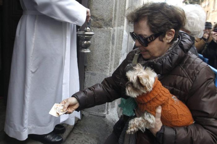 Bendición de animales por San Antón: camaleones, cabras, perros, hurones y gatos en la iglesia (FOTOS)