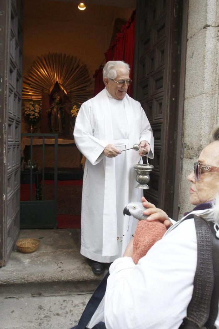 Bendición de animales por San Antón: camaleones, cabras, perros, hurones y gatos en la iglesia (FOTOS)