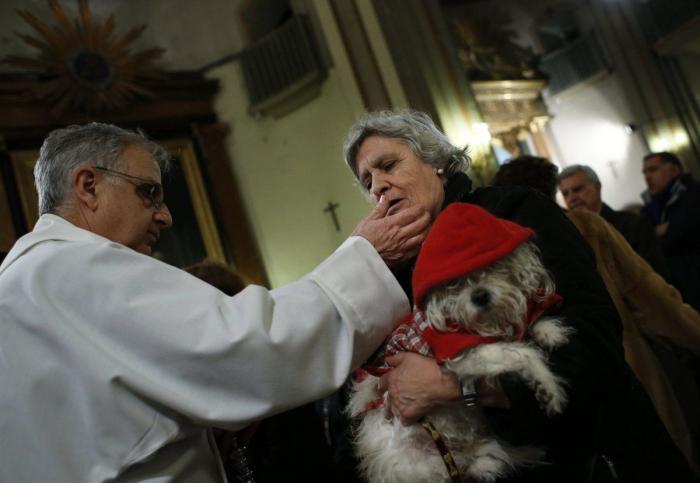Bendición de animales por San Antón: camaleones, cabras, perros, hurones y gatos en la iglesia (FOTOS)