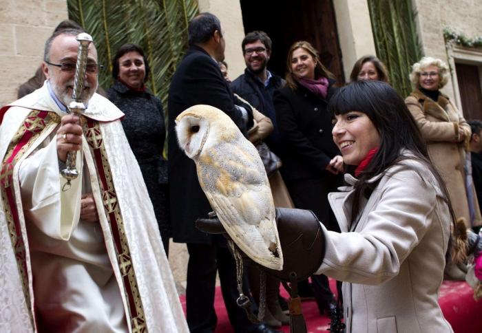 Bendición de animales por San Antón: camaleones, cabras, perros, hurones y gatos en la iglesia (FOTOS)
