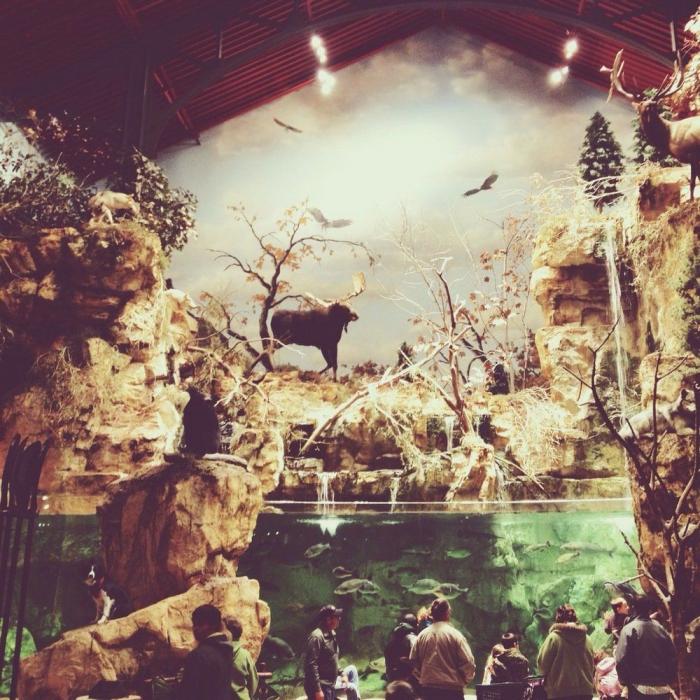 "Dónde está Wally", versión Instagram: el perro que nunca ves al primer vistazo (FOTOS)