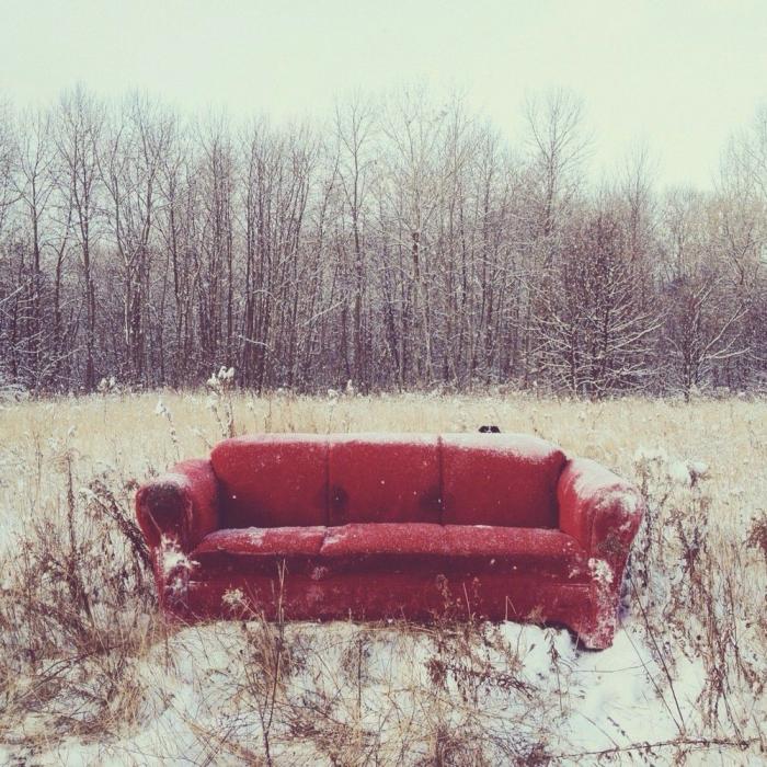 "Dónde está Wally", versión Instagram: el perro que nunca ves al primer vistazo (FOTOS)