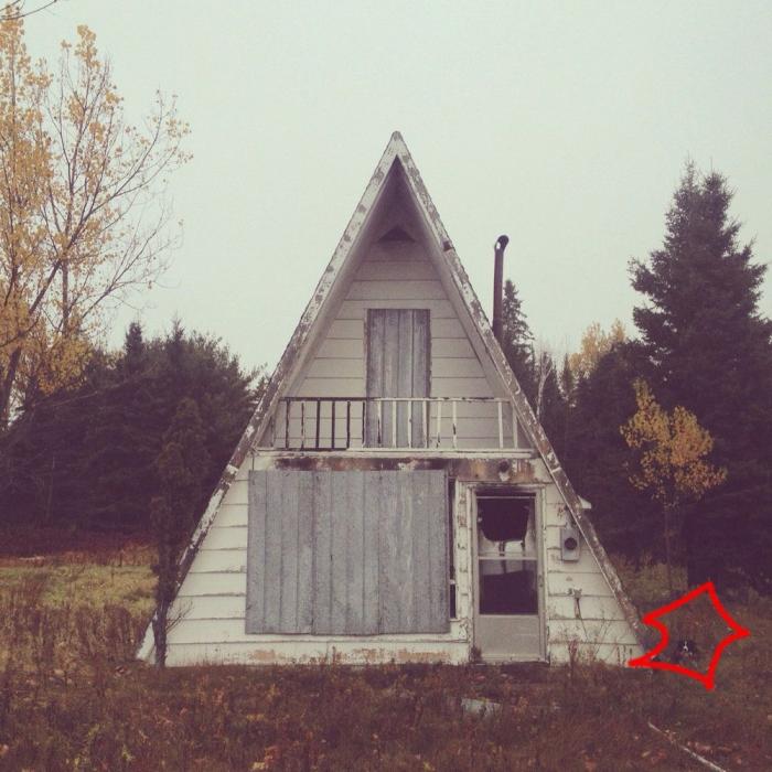 "Dónde está Wally", versión Instagram: el perro que nunca ves al primer vistazo (FOTOS)