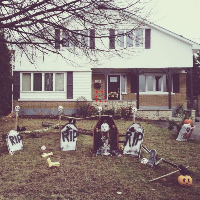 "Dónde está Wally", versión Instagram: el perro que nunca ves al primer vistazo (FOTOS)