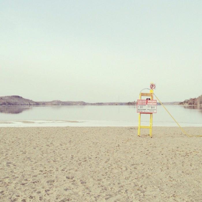 "Dónde está Wally", versión Instagram: el perro que nunca ves al primer vistazo (FOTOS)