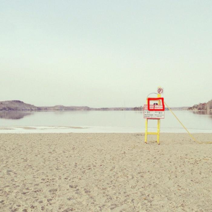 "Dónde está Wally", versión Instagram: el perro que nunca ves al primer vistazo (FOTOS)