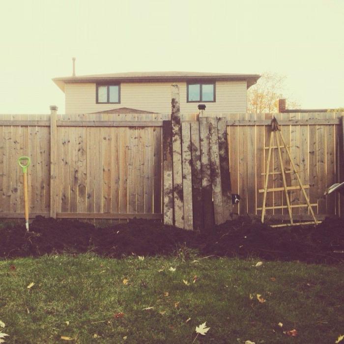 "Dónde está Wally", versión Instagram: el perro que nunca ves al primer vistazo (FOTOS)