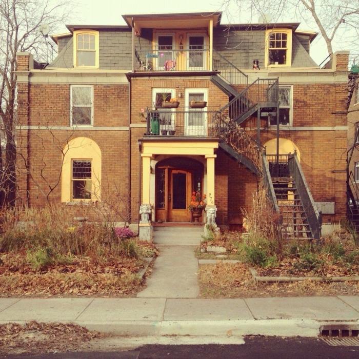 "Dónde está Wally", versión Instagram: el perro que nunca ves al primer vistazo (FOTOS)