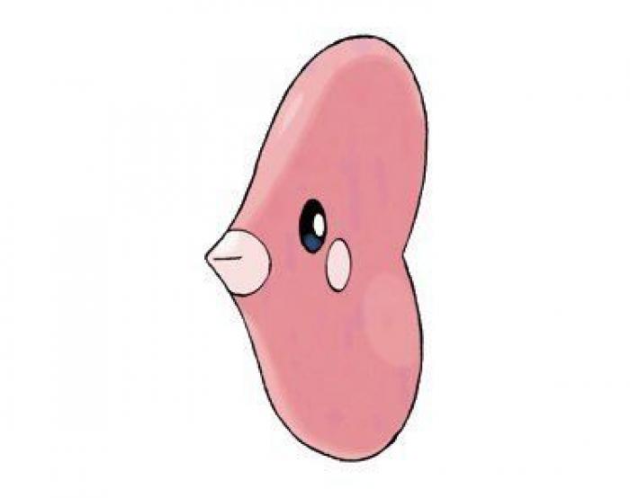 Pokémon Go: dos chicas alquilaron un kajak para reclamar un gimnasio en medio del mar